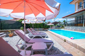 Villa Palm Tree